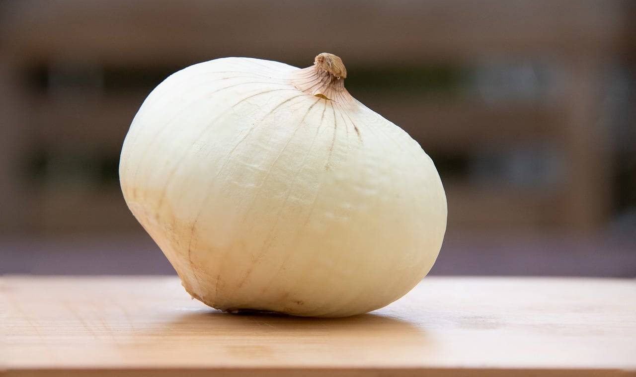 The Role of Music Therapy in Reducing Stress Levels