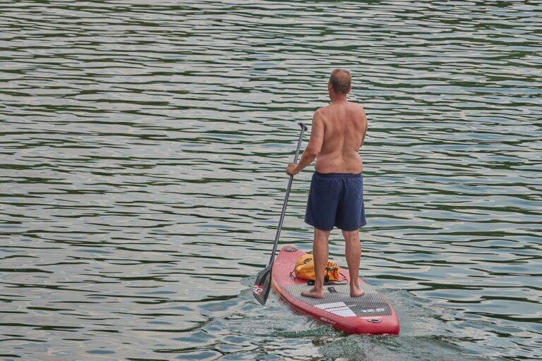 The Role of IPL in Promoting Indian Sportsmanship