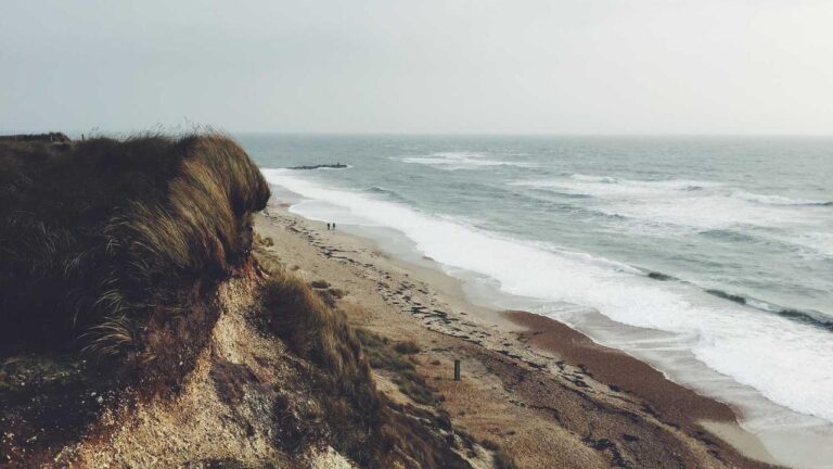 Who Operates The 11Xplay Reddy Anna Platform?